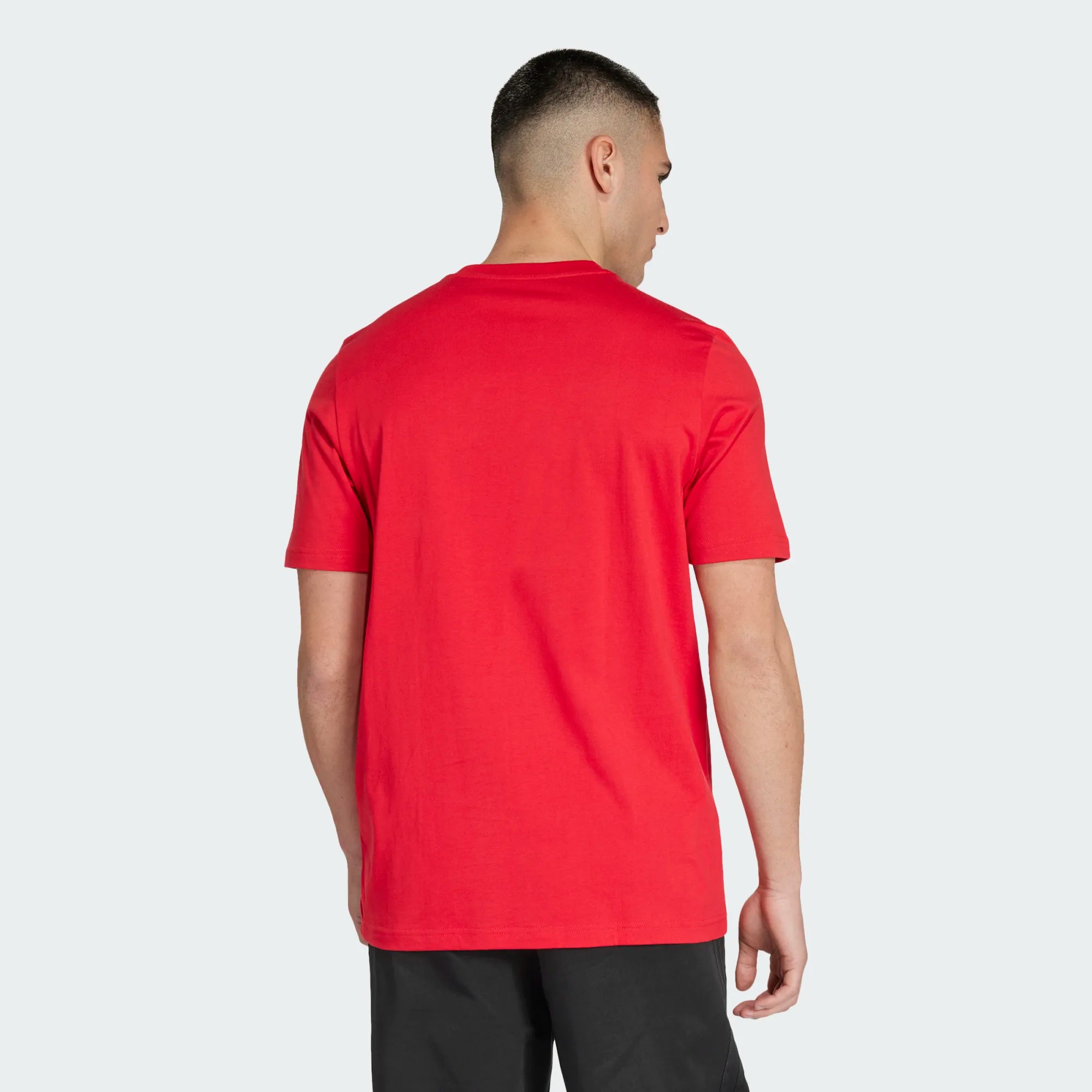 IS6524 - T-Shirt - Adidas