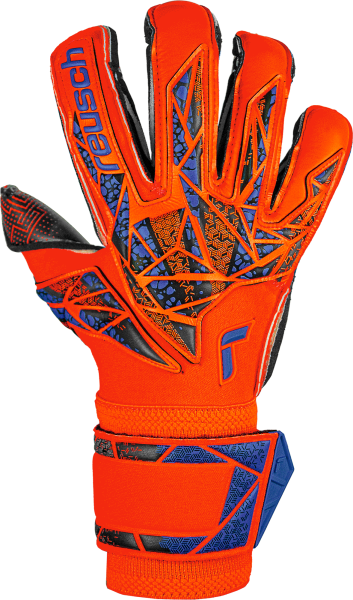 Reusch Attrakt Gold X Evolution 5470975 - vista frontale