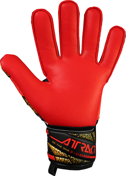 Reusch Attrakt Silver 5570215 - vista posteriore