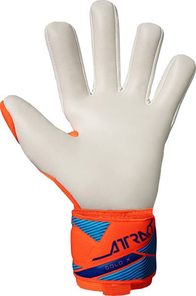 Reusch Attrakt Gold X NC 5670056 - vista posteriore