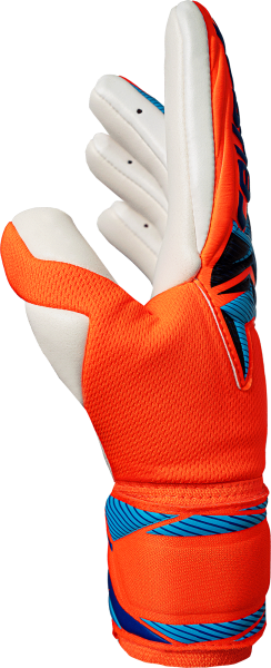 Reusch Attrakt Gold X NC 5670056 - vista laterale