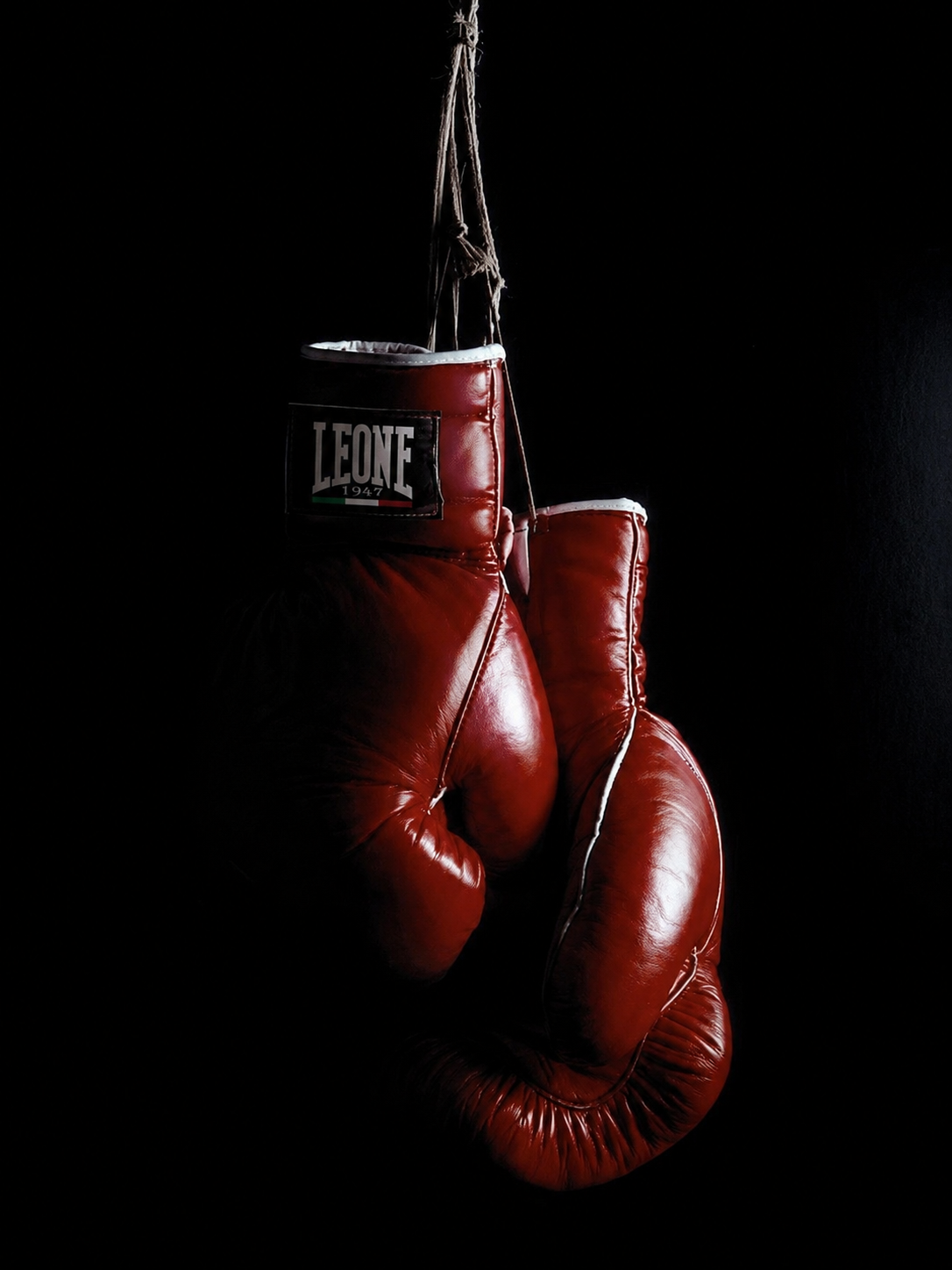 Sport da Combattimento