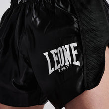 Leone 1947 Panta Thai Flag AB965