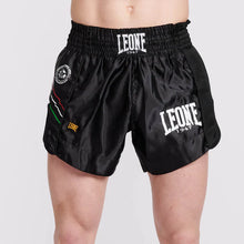 Leone 1947 Panta Thai Flag AB965