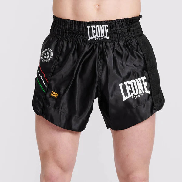 Leone 1947 Panta Thai Flag AB965