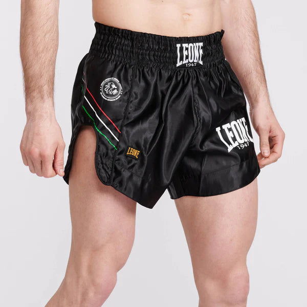 Leone 1947 Panta Thai Flag AB965