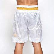 Leone 1947 Panta Boxe Premium AB240