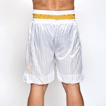 Leone 1947 Panta Boxe Premium AB240