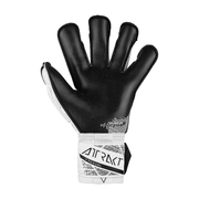 REUSCH ATTRAKT FREEGEL GOLD X EVOLUTION MEN'S WHITE/BLACK - palm