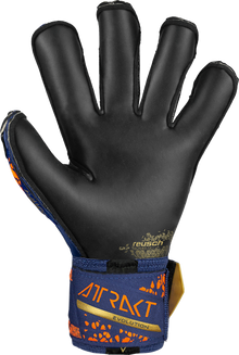 Reusch Attrakt Gold X Evolution 5470964 - vista posteriore