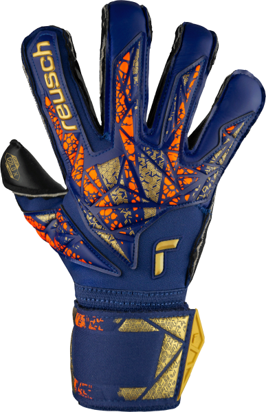 Reusch Attrakt Gold X Evolution 5470964 - vista frontale