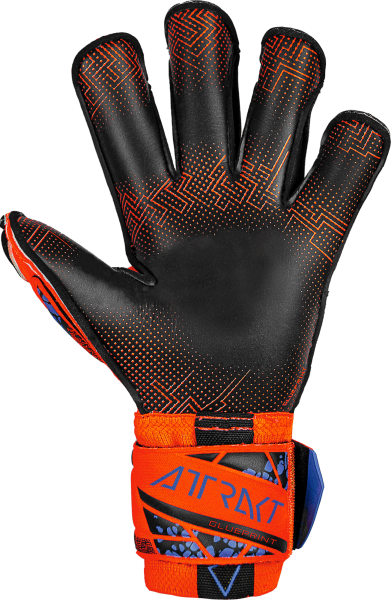 Reusch Attrakt Gold X Evolution 5470975 - vista posteriore
