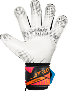 Reusch Attrakt Advance Evolution Glueprint 5670163 - vista posteriore