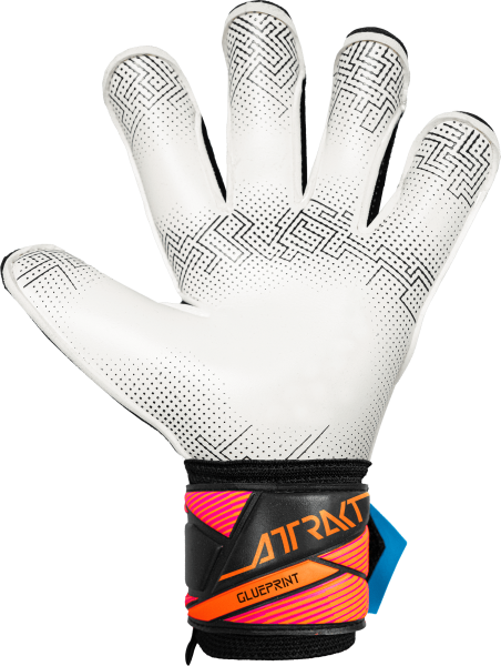 Reusch Attrakt Advance Evolution Glueprint 5670163 - vista posteriore