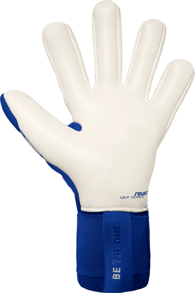 Reusch Attrakt Gold X NC Gravity 5670975 - vista posteriore