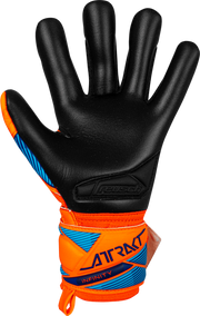 Reusch Attrakt Infinity Evolution NC Junior 5672724 - vista posteriore