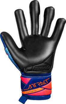 Reusch Attrakt Infinity Evolution NC Junior 5672725 - vista posteriore