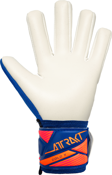 Reusch Attrakt Gold X NC Junior 5672955 - vista posteriore